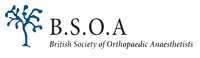 BSOA Logo